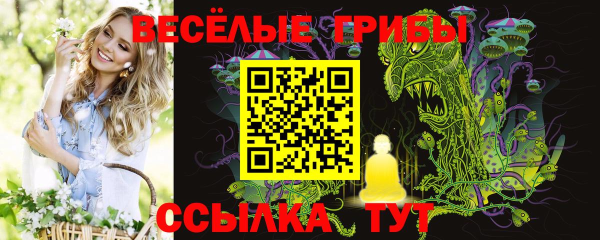 Муром  Галлюциногенные грибы MAGIC MUSHROOMS  Псилоцибиновые грибы Magic Shrooms  наркотики  Вход с VPN 
